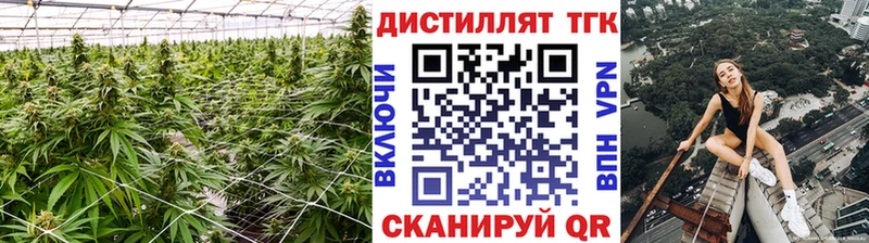 продажа наркотиков  Белёв  ТГК концентрат 