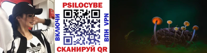 Галлюциногенные грибы Psilocybe  hydra сайт  Белёв  наркошоп 